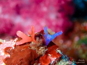 LINE_ALBUM_20230217_230217_29