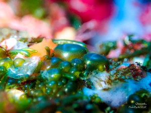 LINE_ALBUM_20230217_230217_35