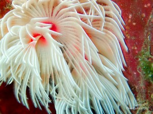 LINE_ALBUM_20230217_230217_63