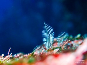 LINE_ALBUM_20230217_230217_73