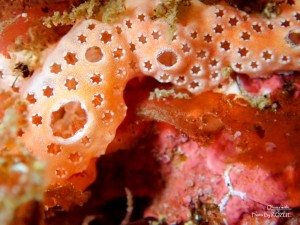 LINE_ALBUM_20230217_230217_82