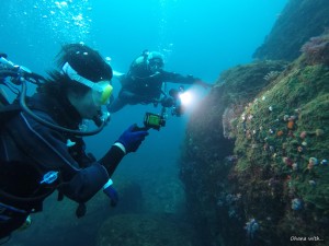 DCIM100GOPROGOPR6749.JPG