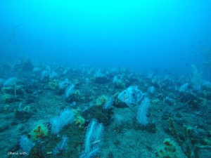 DCIM100GOPROGOPR6803.JPG