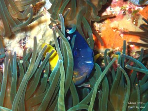 line_oa_chat_230312_192000