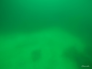 GOPR0021