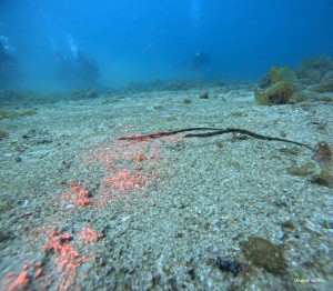 GOPR0087