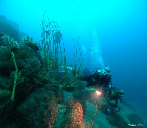 DCIM100GOPROGOPR0217.JPG