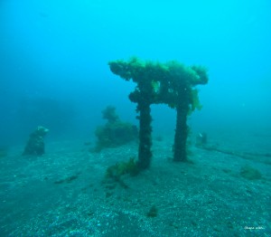 GOPR0238