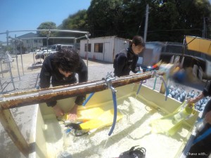 DCIM100GOPROGOPR0106.JPG