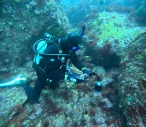 DCIM100GOPROGOPR0830.JPG