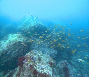 DCIM100GOPROGOPR0833.JPG