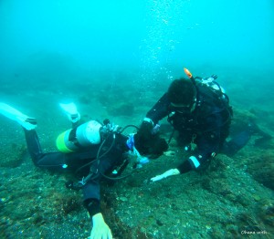 DCIM100GOPROGOPR0919.JPG