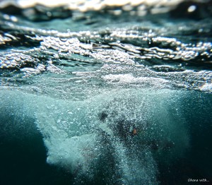 DCIM100GOPROGOPR0931.JPG