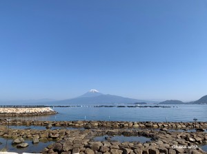 S__233152535