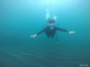 DCIM100GOPROGOPR0050.JPG