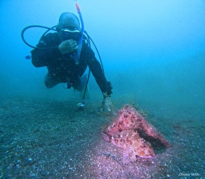DCIM100GOPROGOPR1010.JPG