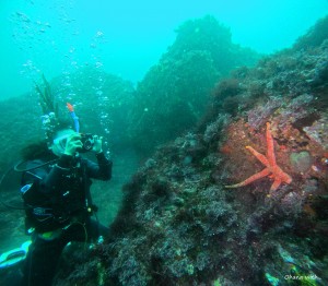 DCIM100GOPROGOPR1299.JPG
