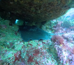 DCIM100GOPROGOPR1578.JPG