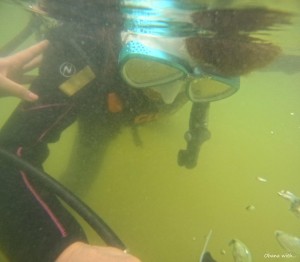 DCIM100GOPROGOPR1619.JPG
