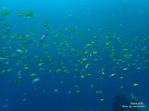 LINE_ALBUM_20230629_230629_26