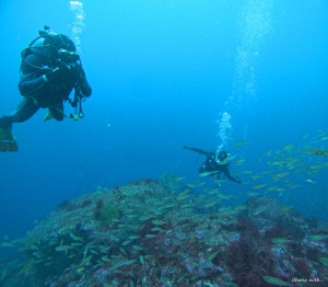DCIM100GOPROGOPR2314.JPG