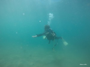 GOPR0029
