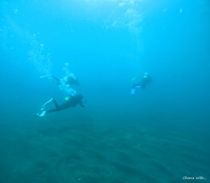 DCIM100GOPROGOPR2942.JPG