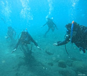 DCIM100GOPROGOPR3881.JPG