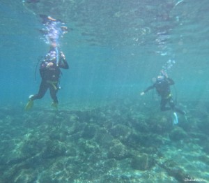 DCIM100GOPROGOPR4731.JPG