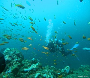 LINE_ALBUM_20230810_230810_16
