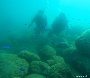 DCIM100GOPROGOPR4277.JPG