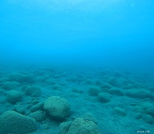DCIM100GOPROGOPR4572.JPG