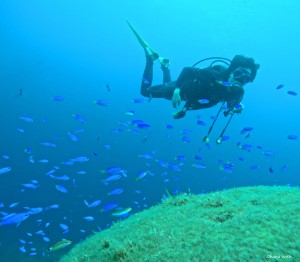 DCIM100GOPROGOPR4597.JPG