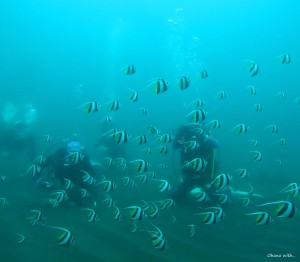 DCIM100GOPROGOPR4911.JPG