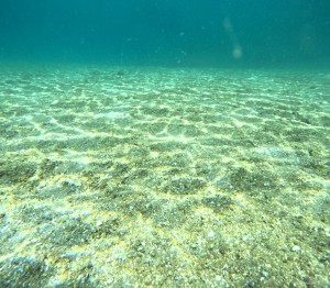DCIM100GOPROGOPR5158.JPG