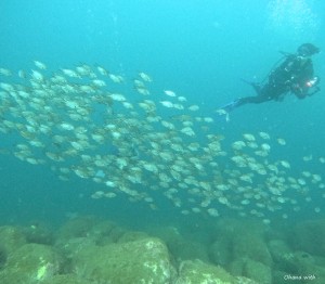 DCIM100GOPROGOPR7066.JPG