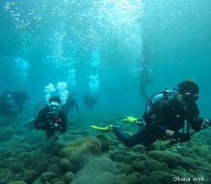 DCIM100GOPROGOPR5869.JPG