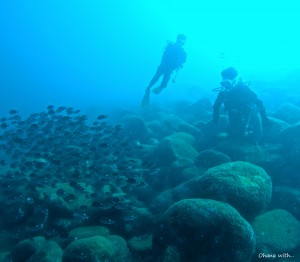 DCIM100GOPROGOPR6045.JPG