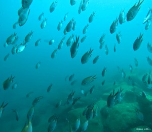DCIM100GOPROGOPR6143.JPG