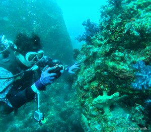 DCIM100GOPROGOPR6226.JPG