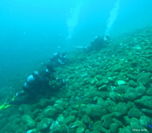 DCIM100GOPROGOPR6468.JPG