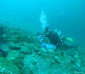 DCIM100GOPROGOPR6469.JPG