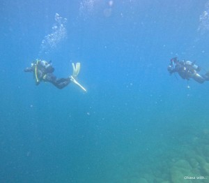 DCIM100GOPROGOPR7409.JPG