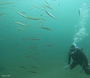 DCIM100GOPROGOPR7489.JPG