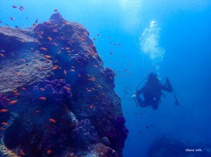 LINE_ALBUM_20231001_231001_14