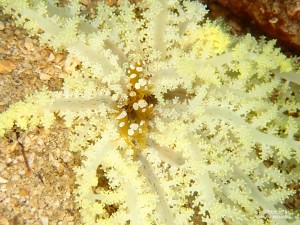 PA011786