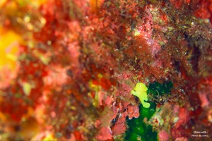 LINE_ALBUM_大島_231107_63