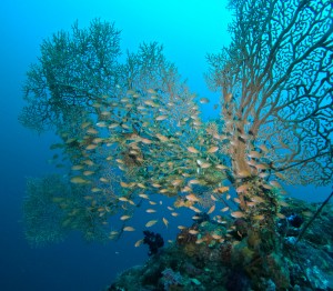 DCIM100GOPROGOPR6922.JPG
