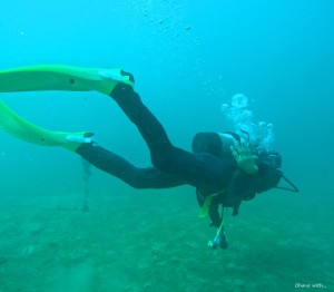 DCIM100GOPROGOPR7340.JPG
