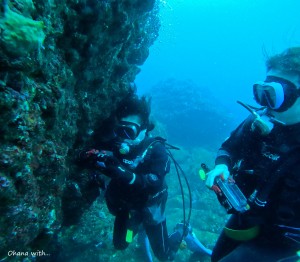DCIM100GOPROGOPR8339.JPG